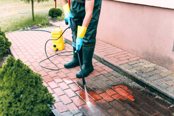 Boat and Dock Cleaning in Dansville, NY